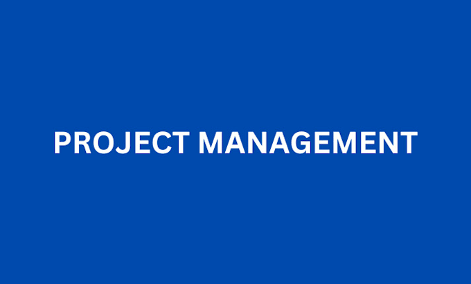 Gig Preview - Be your project manager expert