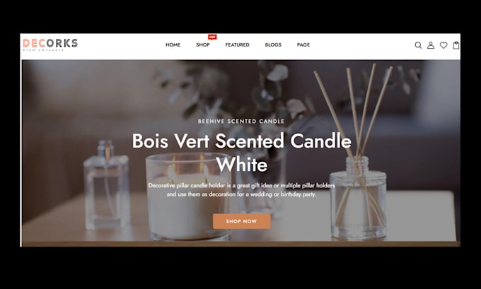 Gig Preview - Design candle shopify store candle website candle store candle dropshipping