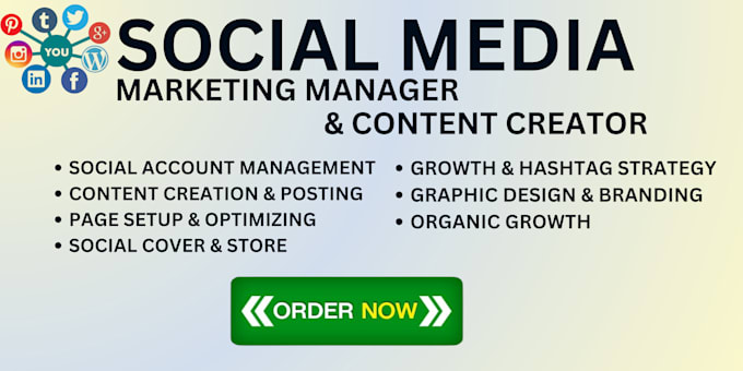 Gig Preview - Be your social media marketing manager and content creator