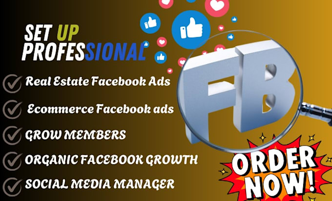 Gig Preview - Set up real estate ecommerce facebook ads manage your group growth