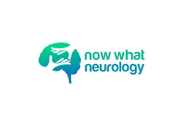 Gig Preview - Design branding neurology logo