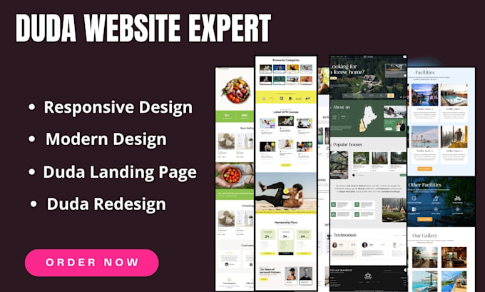 Gig Preview - Build duda website design, redesign, and landing page with excellence