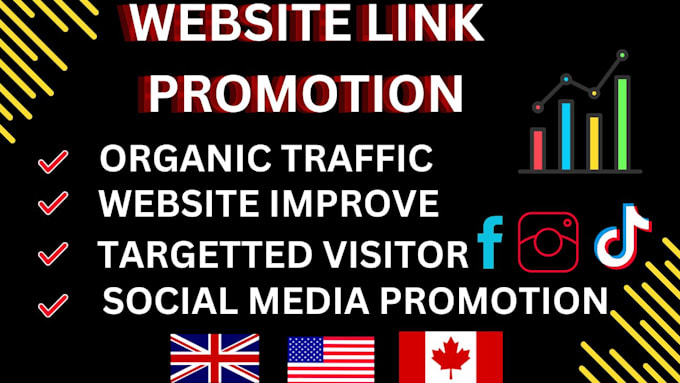 Gig Preview - Do organic traffic to increase your website promotion