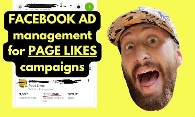 Gig Preview - Set up facebook ads for page likes and grow page