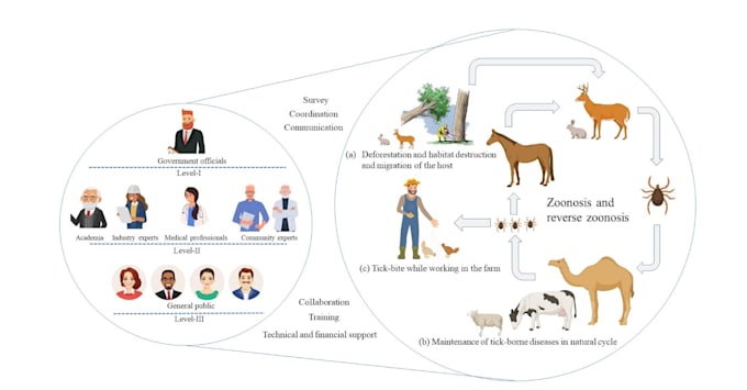 Gig Preview - Create professional graphic abstracts for scientific journals