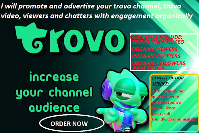 Gig Preview - Boost your trovo channel with expert promotion to increase followers, chatters