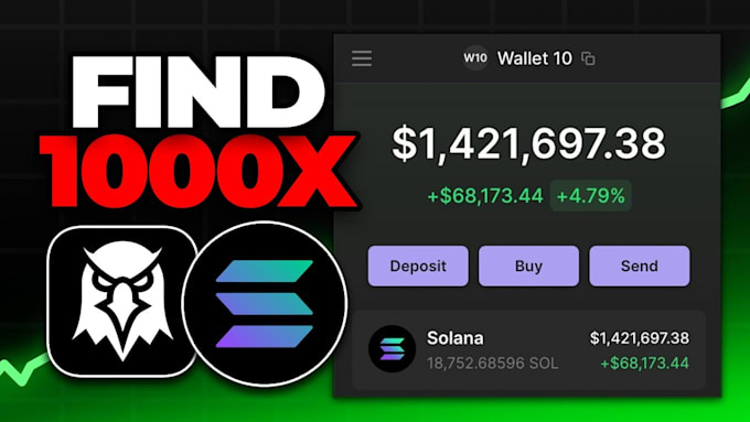 Gig Preview - Get 500k investors for pump fun project, boost solana memecoin token investors