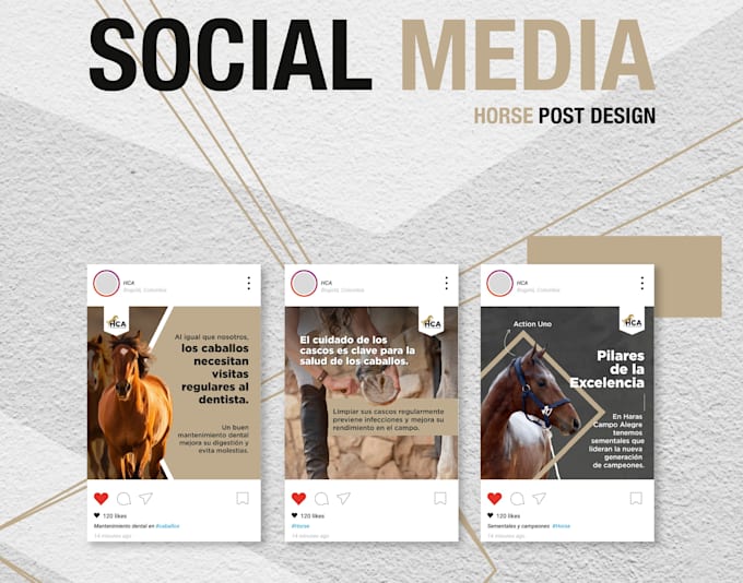 Bestseller - design you trendy and professional social media content