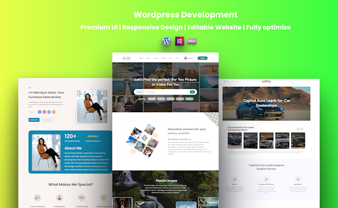 Gig Preview - Create, design, revamp, develop, or customize your wordpress website