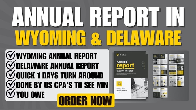 Gig Preview - File annual report in wyoming state and delaware as a US CPA