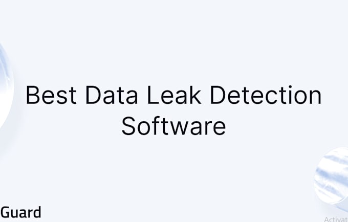 Gig Preview - Create data leakage detection software, data leakage prevention software python