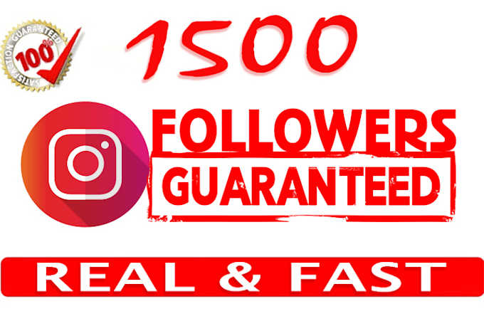 Bestseller - do real and fast instagram followers to page growth