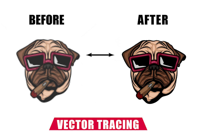 Gig Preview - Vectorize, convert, raster to vector, vector tracing logo