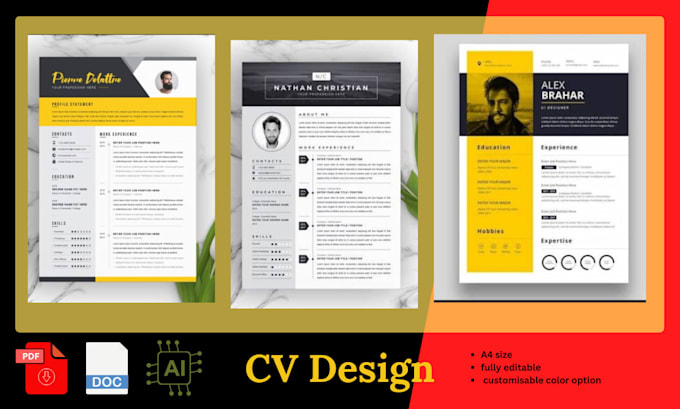 Gig Preview - Perform professional resume design and CV design