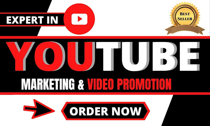 Gig Preview - Professionally promote your youtube channel organically