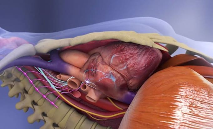 Gig Preview - Create professional good quality 3d 2d medical animation video