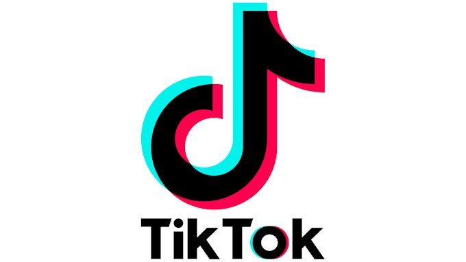 Gig Preview - Dance with my group and make tiktok choreography dance video