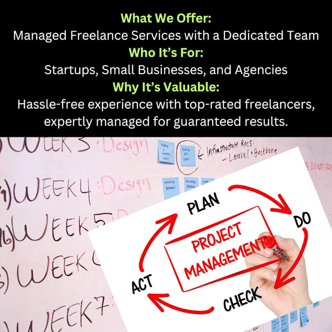 Gig Preview - Manage your team of top rated freelancers for seamless project delivery