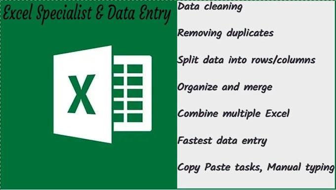 Gig Preview - Do excel data cleaning, data entry, merge, format and edit