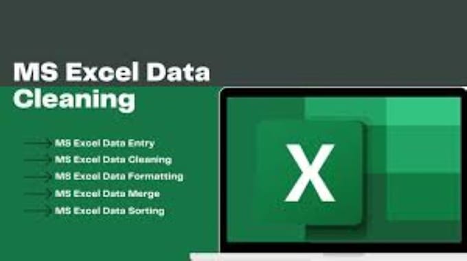 Bestseller - clean, organize, and analyze your excel data professionally