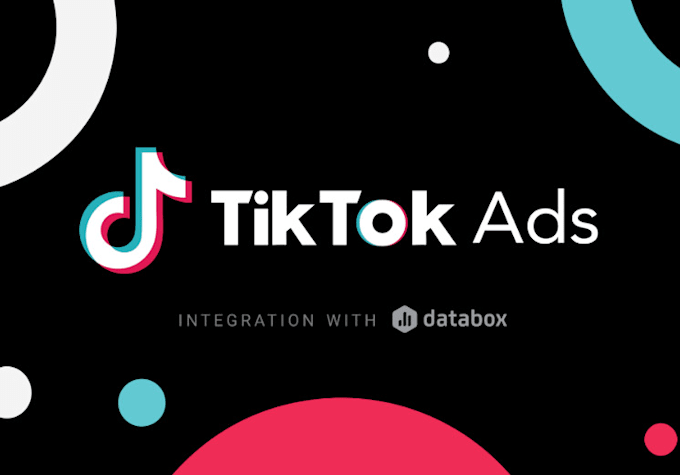 Gig Preview - Run tik tok ads, tik tok ads campaign, and tik tok marketing