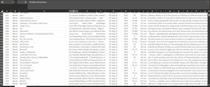 Gig Preview - Perform excel data cleaning