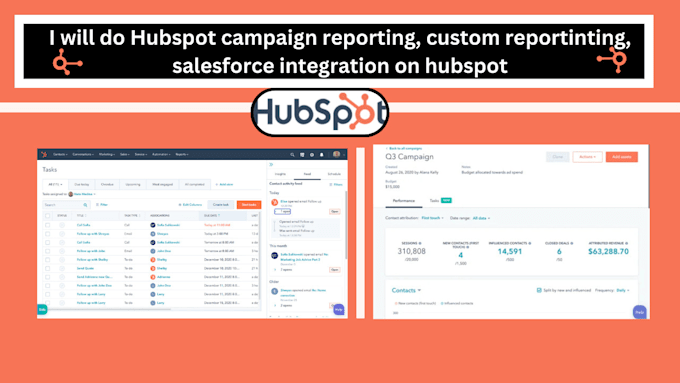 Gig Preview - Setup hubspot campaign reporting  custom sales integrations simplified