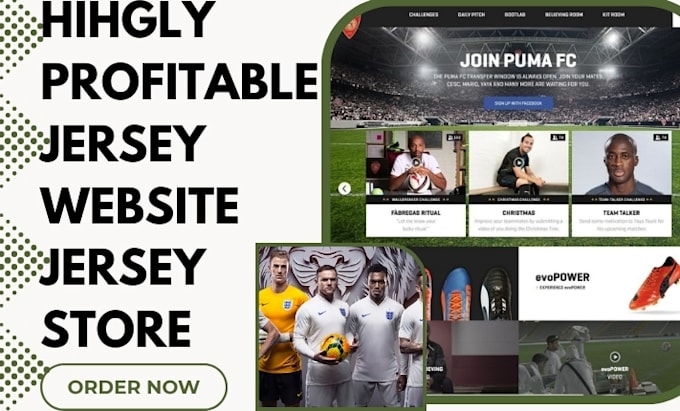 Gig Preview - Build football jersey shopify sport jersey store golf basketball jersey website