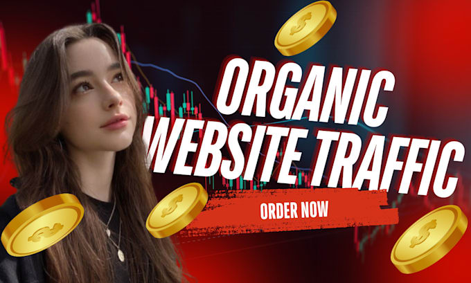 Bestseller - do website promotion, shopify facebook ads to increase organic website traffic