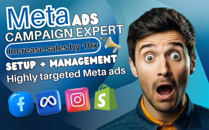 Gig Preview - Setup facebook and instagram ads campaign, manage meta ads