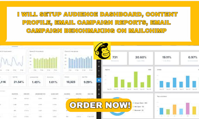 Gig Preview - Setup audience dashboard, content profile, email campaign reports on mailchimp