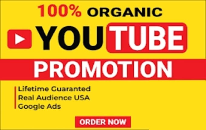 Gig Preview - Do organic youtube promotion, video promotion, channel SEO