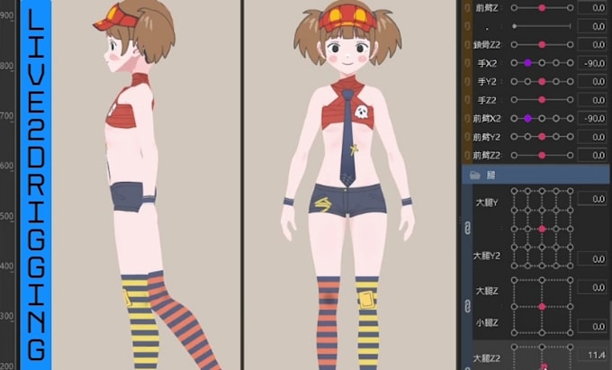 Gig Preview - Draw and rig live2d model vtuber model vtuber character design for streamers