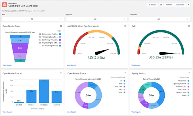 Gig Preview - Develop professional salesforce reports and dashboards