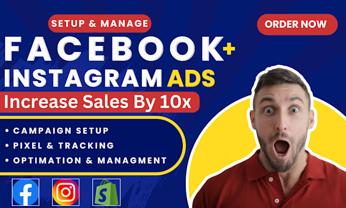 Gig Preview - Set up and manage facebook and instagram ad campaigns with meta ads expertise