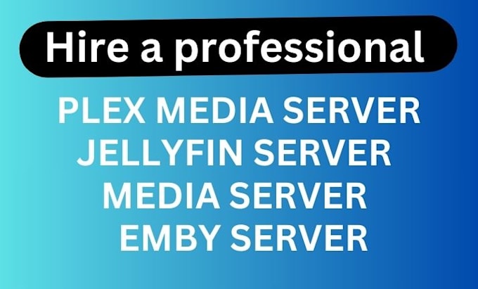 Gig Preview - Optimize plex, jellyfin, or emby servers for efficient media organization