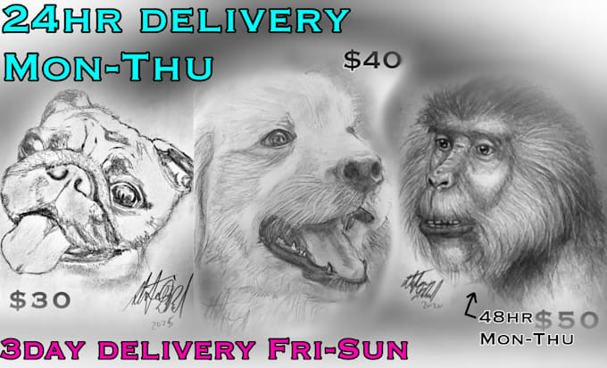 Gig Preview - Draw a portrait of your pet or an animal 24hrs