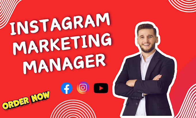 Gig Preview - Be your instagram marketing manager