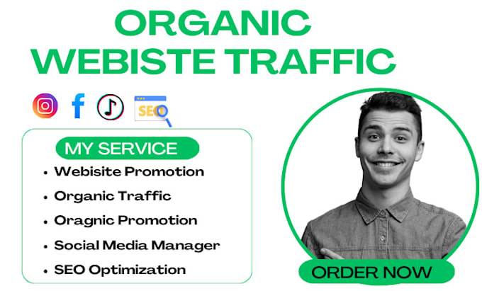 Gig Preview - Do organic website traffic to increase your website promotion