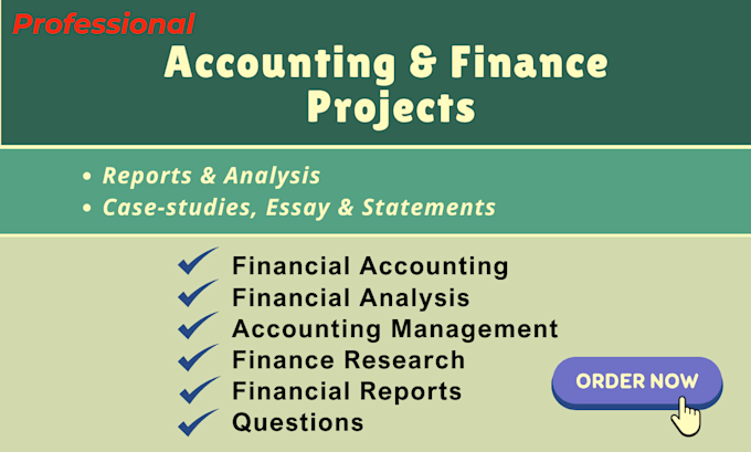 Gig Preview - Do accounting and finance assignment financial analysis report and excel project