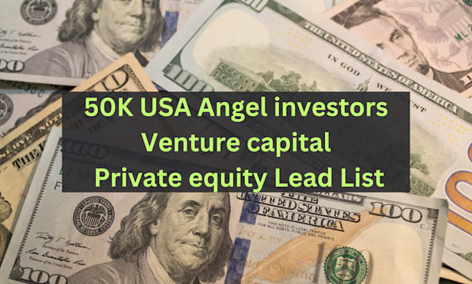 Gig Preview - Give 50k USA angel venture and private equity investors lead