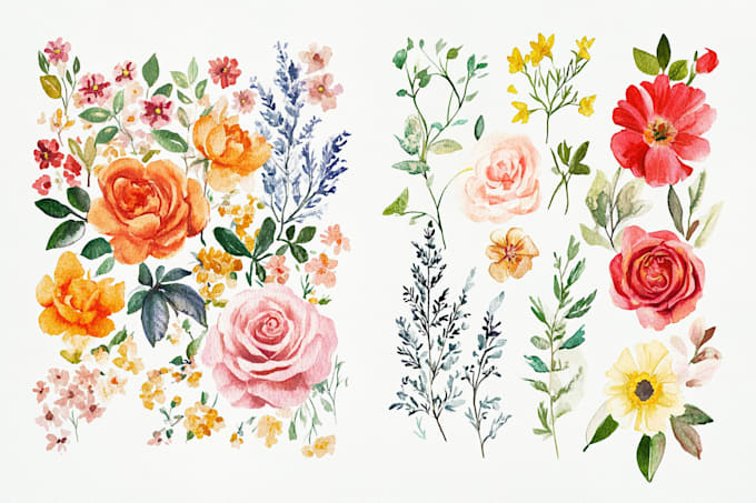 Gig Preview - Create a botanical watercolor illustration