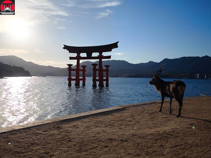 Bestseller - help you travel japan exactly how you want