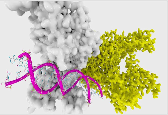 Gig Preview - Do molecular docking and target prediction for your ligands