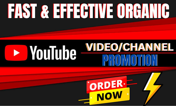 Gig Preview - Do fast and effective organic youtube video or channel promotion