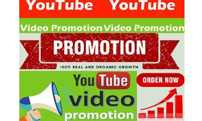 Gig Preview - Do organic youtube video promotion for channel growth