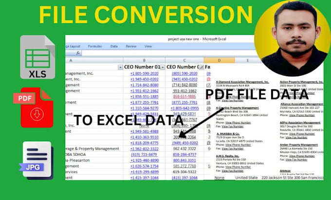 Gig Preview - Do fast accurate PDF excel and jpg file conversion  services