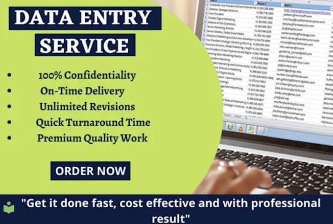 Gig Preview - Do data entry for your business