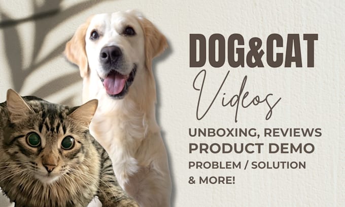 Gig Preview - Create amazon, ugc video ads dog or cat pet product photos