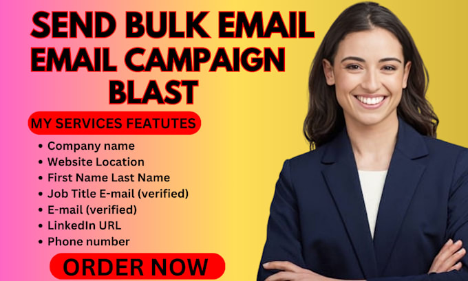 Gig Preview - Do email campaign email marketing send bulk email blasts send mass email